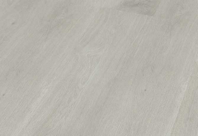 Oak silvarctic